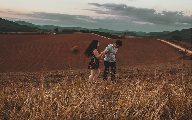 Wheat Field